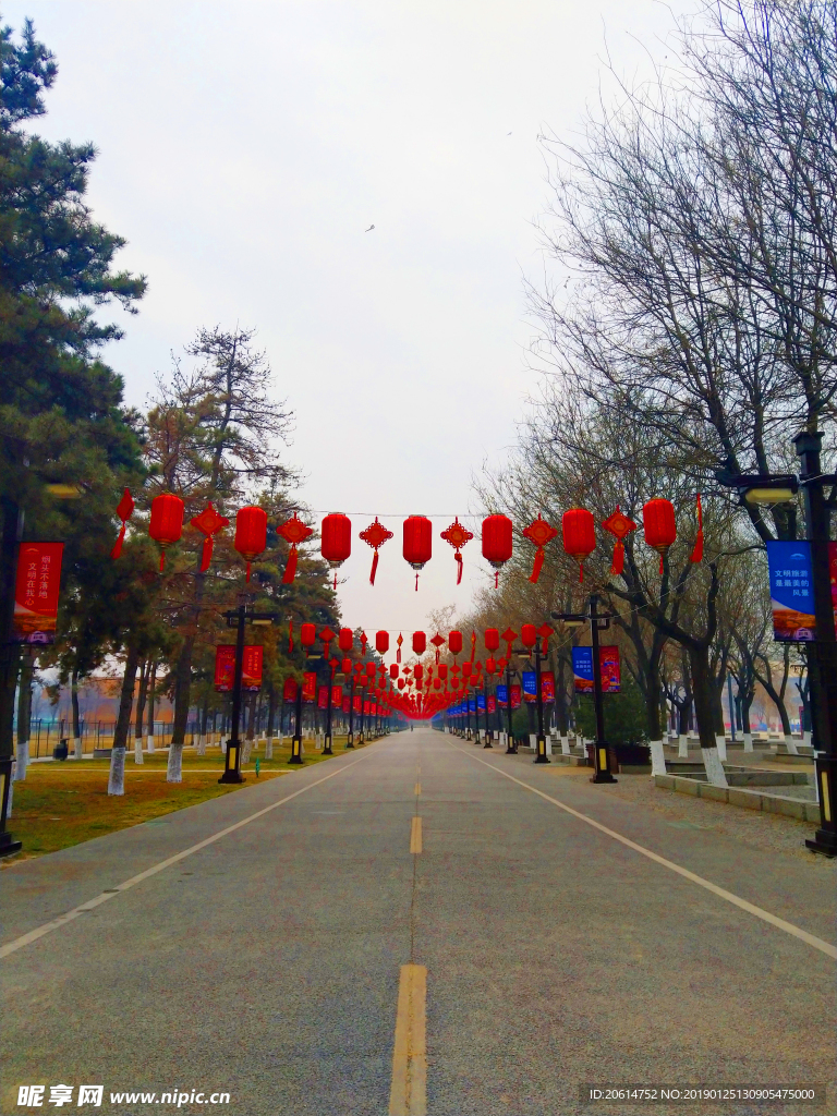 美丽的公园风景