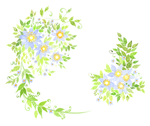 小碎花  水彩花 花纹  背景