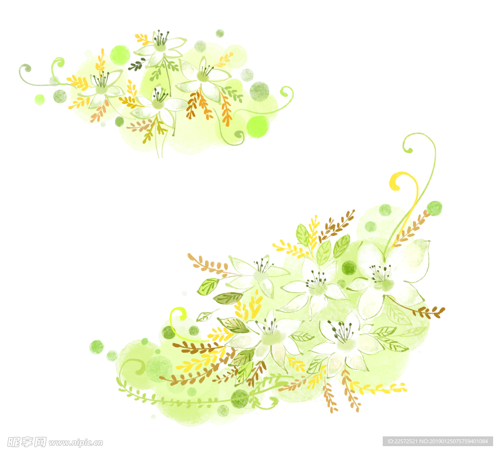 水彩花 花纹