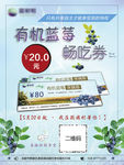 有机蓝莓采摘券宣传海报