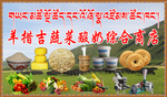 藏式门头