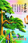 迎客松