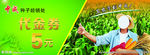 种业代金券