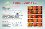 名散瞳眼底相机操作流程