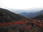 远山