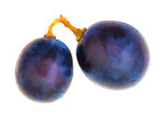 葡萄 粒 艺术 效果 二颗 紫