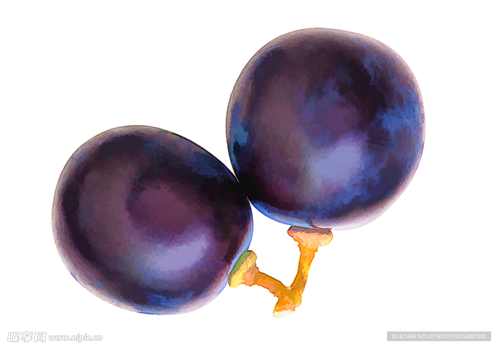 葡萄 粒 艺术 效果 两颗 紫