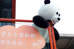 抱抱 熊猫 798