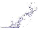 水花素材
