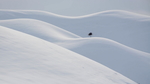 雪山