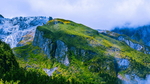 高山草甸