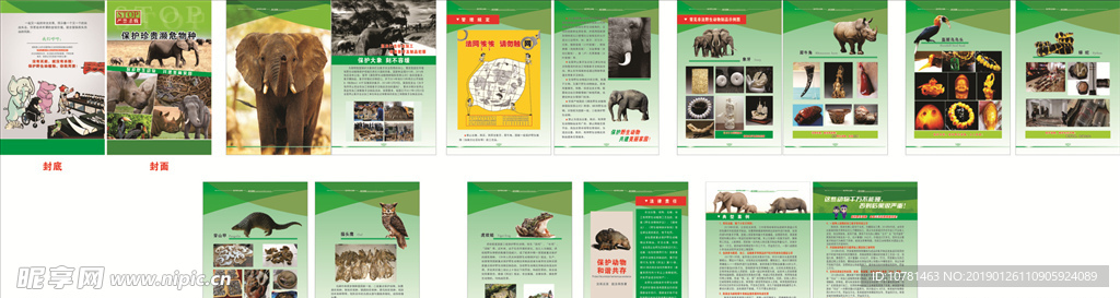 保护野生动物画册