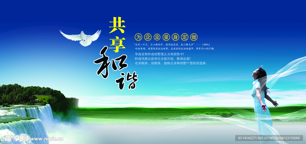 鸽子