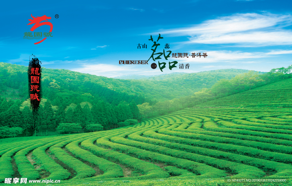 茶山