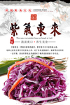 紫气东来凉菜海报