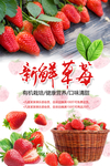 草莓采摘海报设计