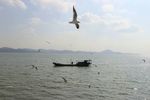 湖面