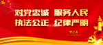 对党忠诚 服务人民