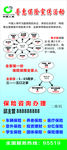 中国人寿展架