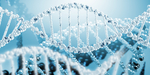 基因链DNA