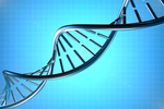 基因链DNA
