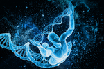 基因链DNA