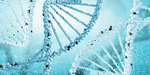 基因链DNA