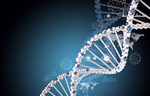基因链DNA