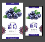 蓝莓海报水果海报蓝莓展架