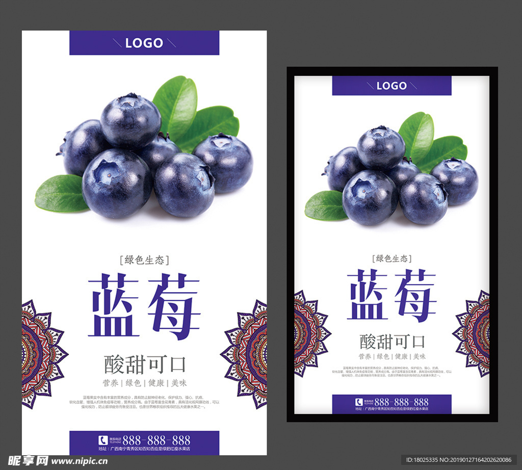 蓝莓海报水果海报蓝莓展架