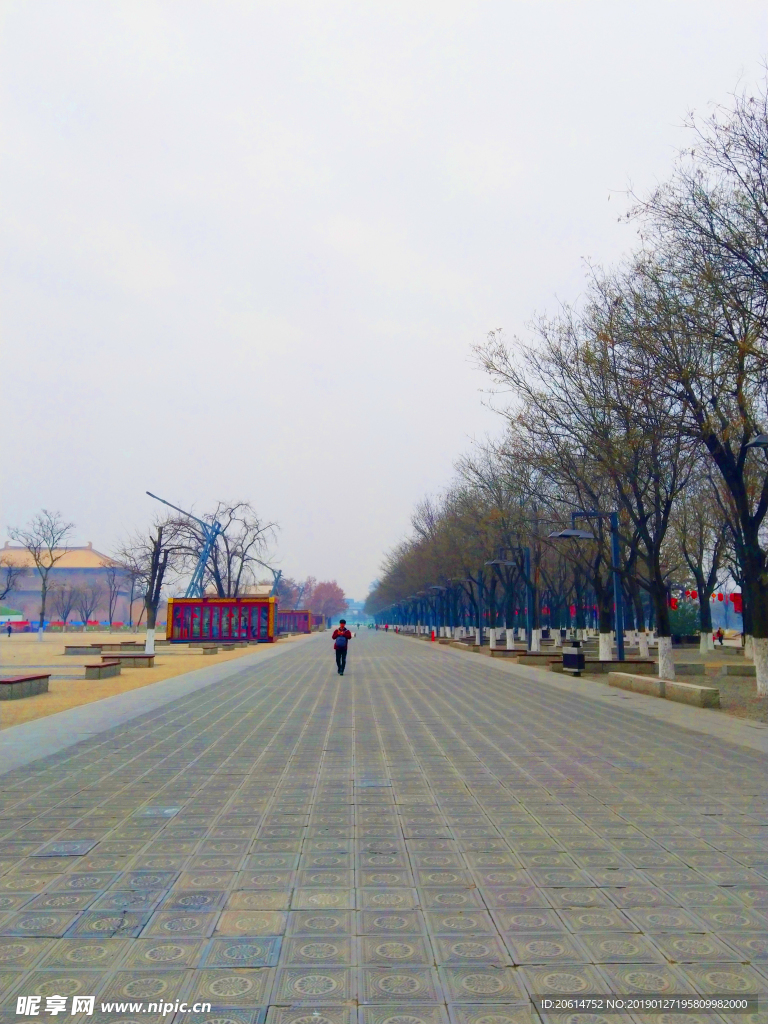 美丽的公园风景