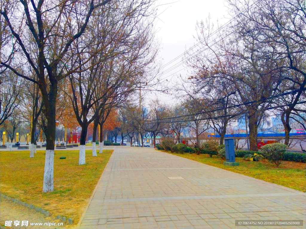美丽的公园风景