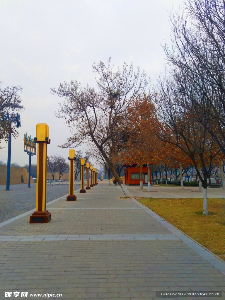 深秋时节的公园风景