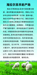 羊的产地