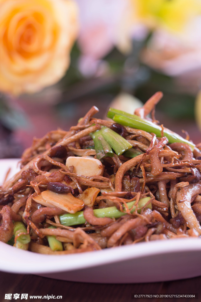 茶树菇