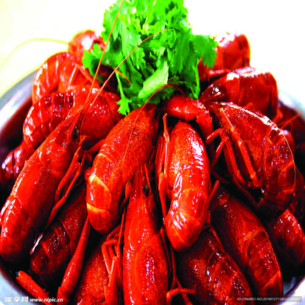 小龙虾素材