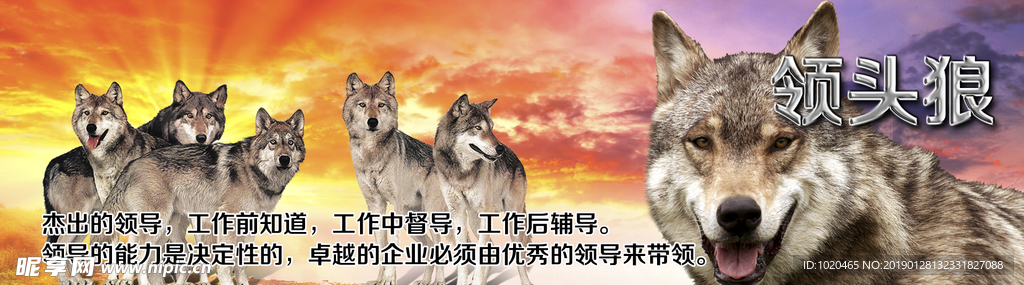 狼性文化