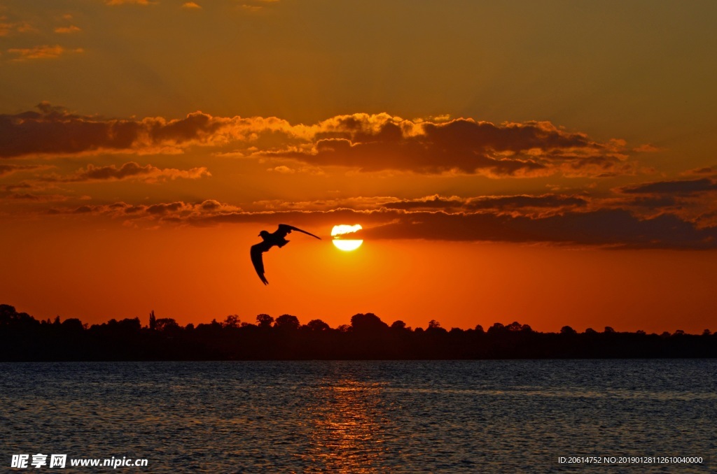 夕阳西的河流风景
