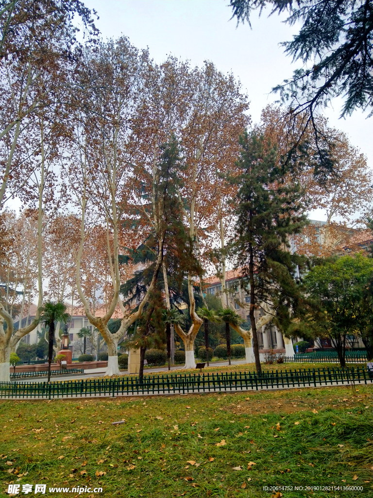 美丽的校园风景