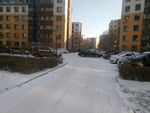 雪后