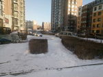 雪后