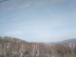山林
