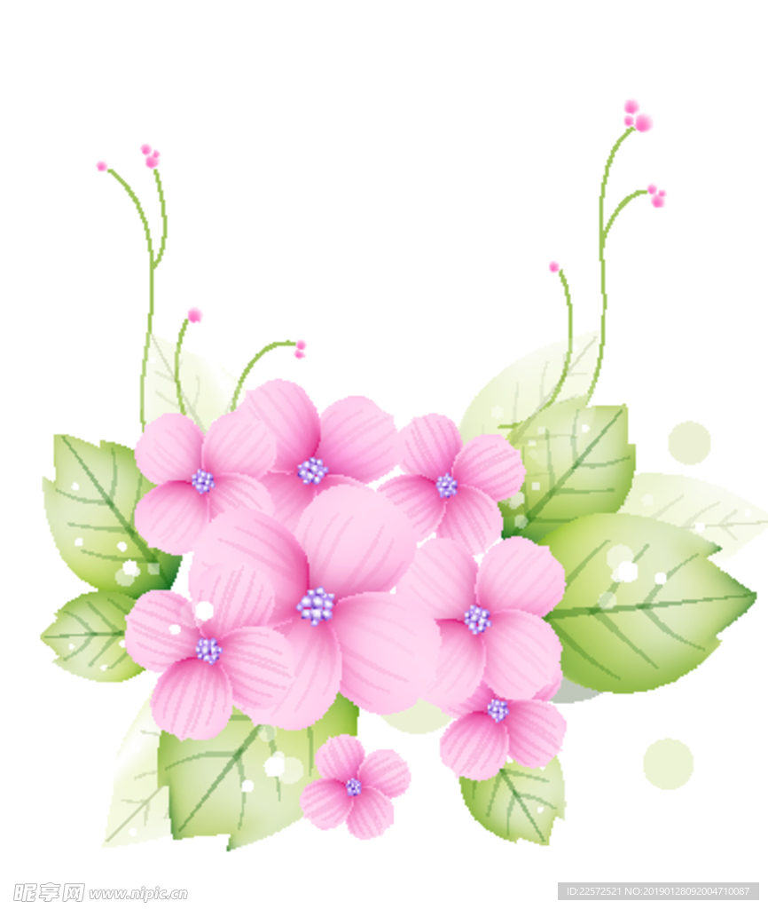 花 水彩花 花朵 图案背景