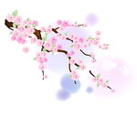 花 水彩花 花朵 手绘花 图案