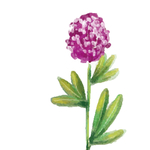 卡通鲜花矢量文件
