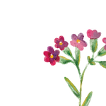 卡通鲜花矢量文件