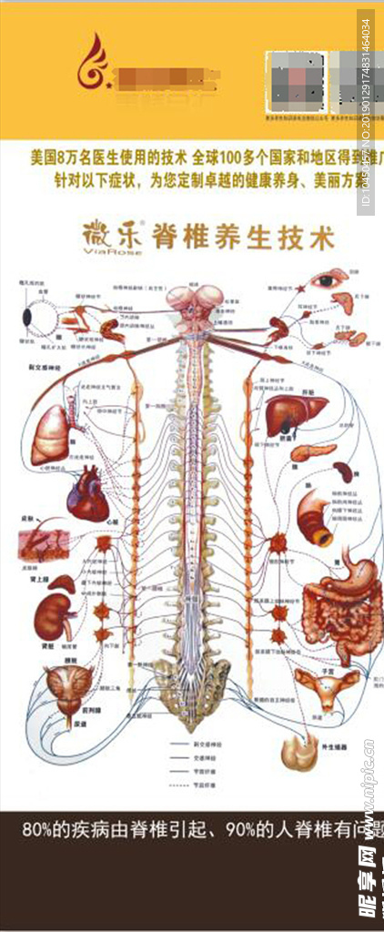 脊椎养生技术展架