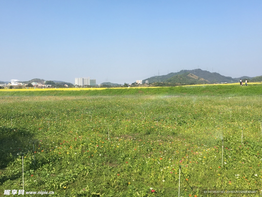 光明小镇欢乐田园