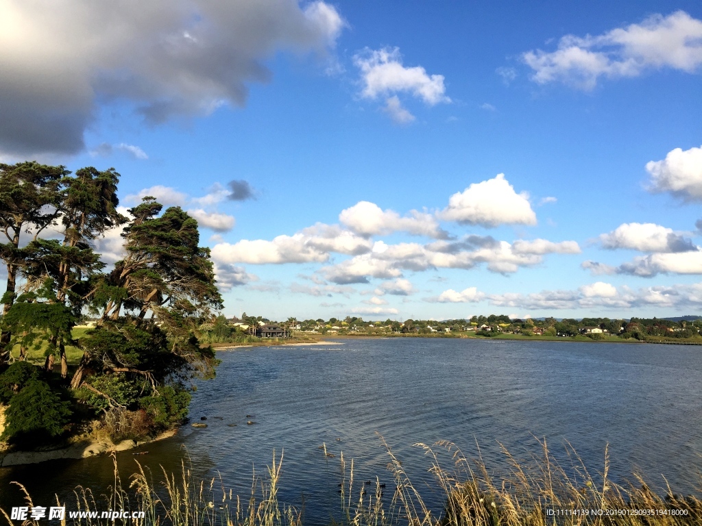 奥克兰海滨风光