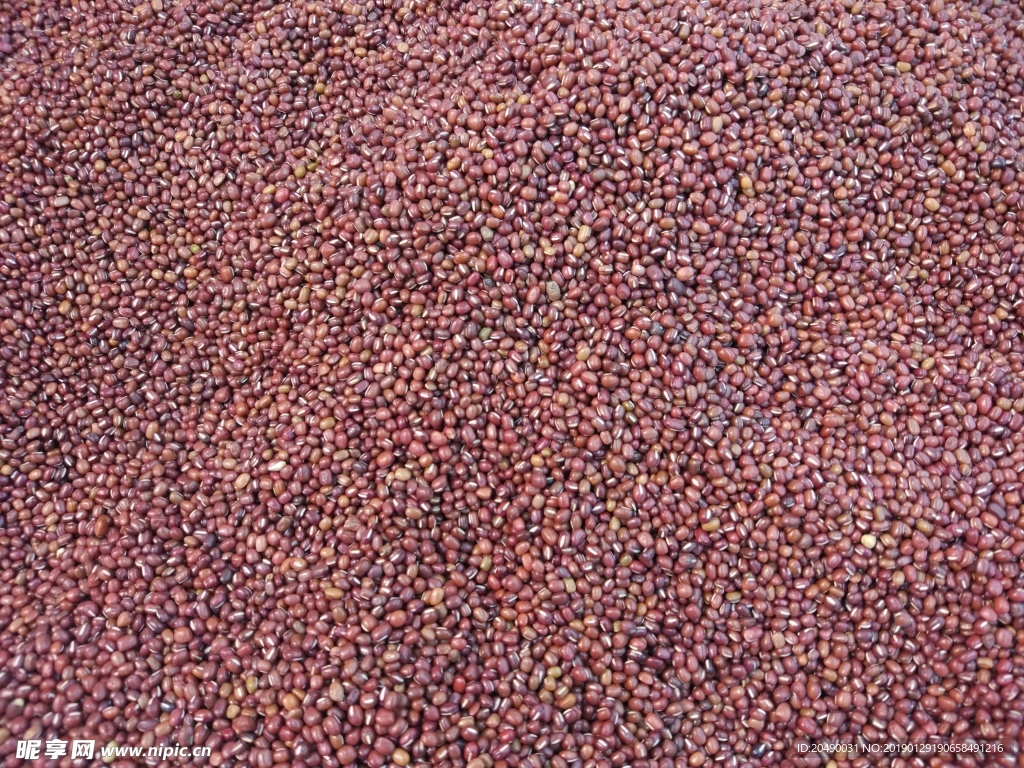 红豆 红豆摄影 红豆素材 五谷
